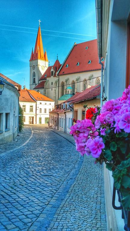 Rezidence Zvon Guest house 4*